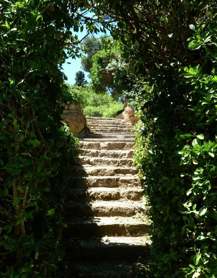 Bed and Breakfast La Royante Aubagne Exteriér fotografie