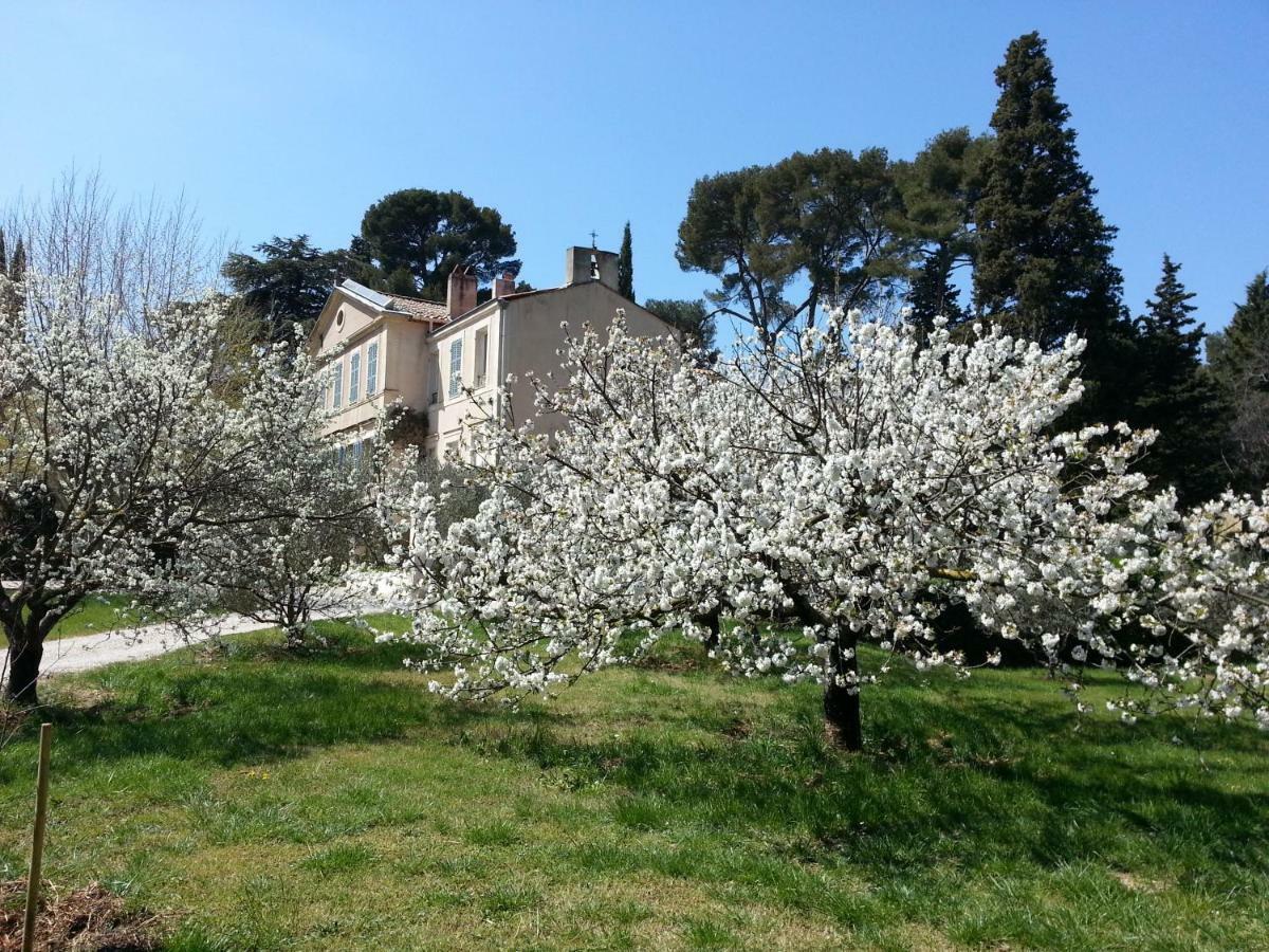 Bed and Breakfast La Royante Aubagne Exteriér fotografie