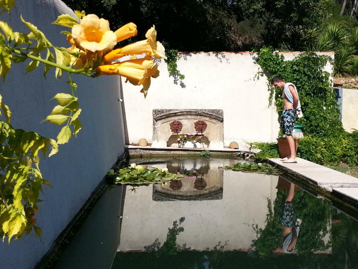 Bed and Breakfast La Royante Aubagne Exteriér fotografie